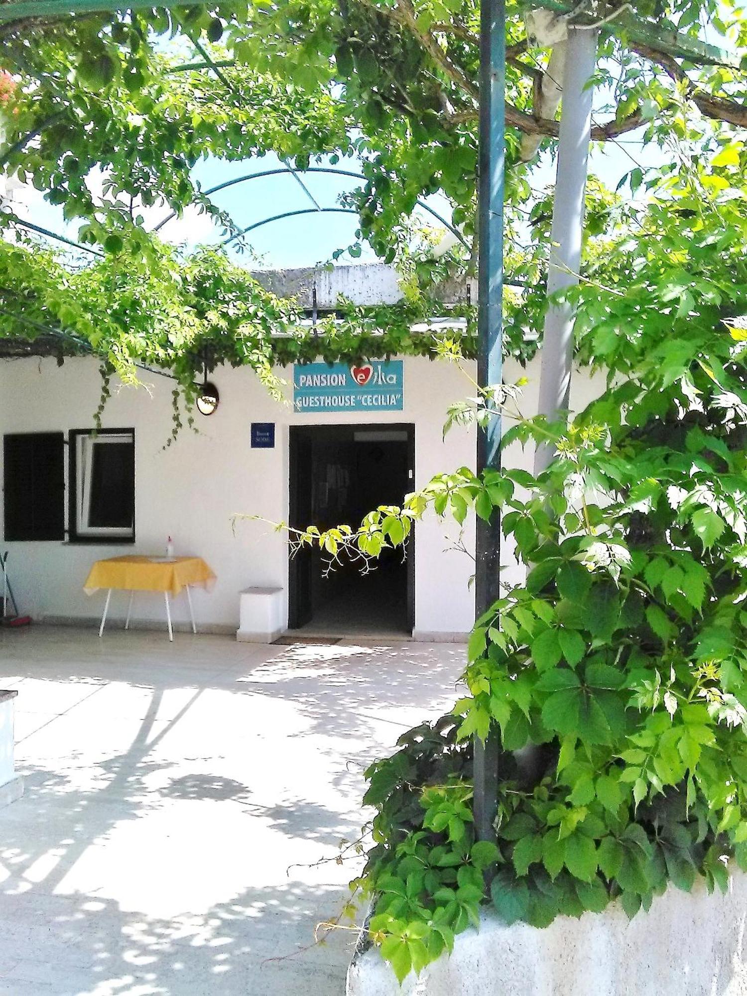 Guesthouse Cecilia مالينسكا المظهر الخارجي الصورة